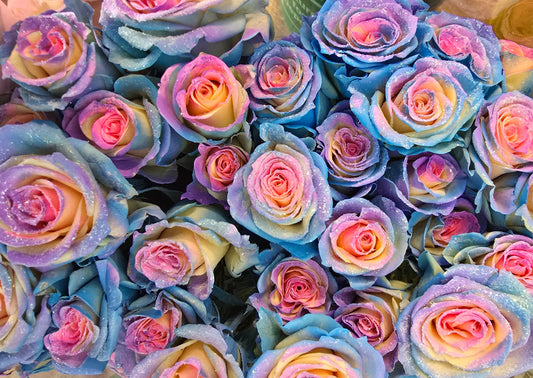 How to care for your fresh cut flowers