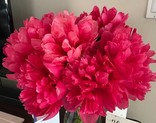 Peonies The bloom everyone waits for all year!!!