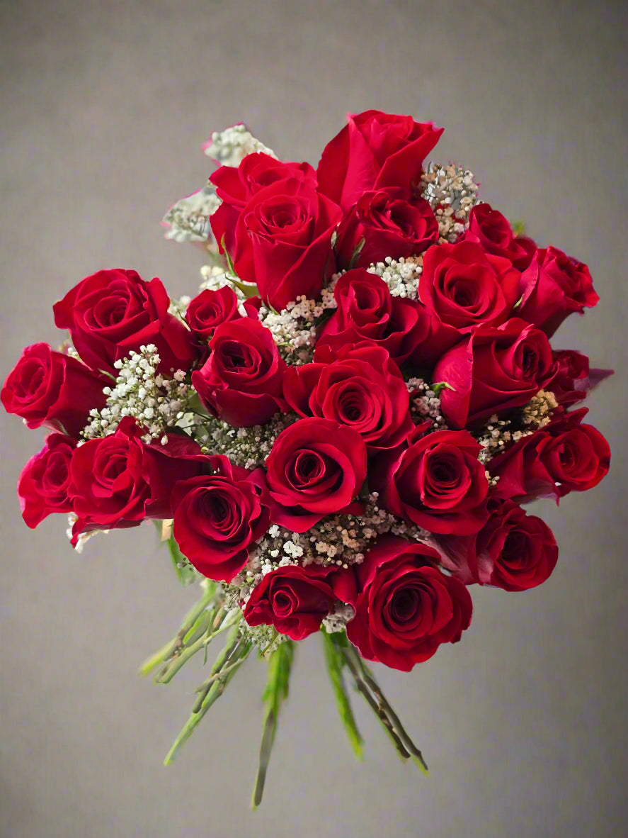 24 Red Roses with Baby's Breath VALENTINE'S DAY PRICING