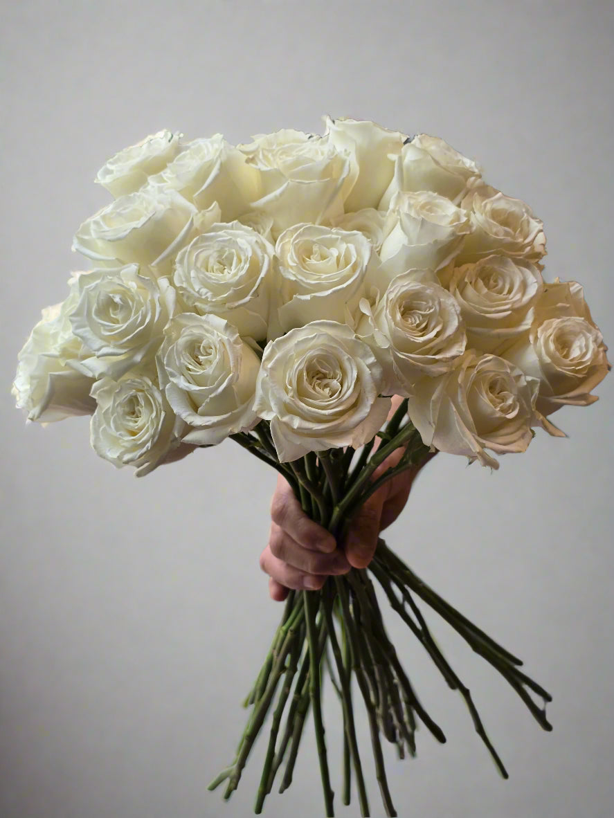 2 dozen rose bouquet