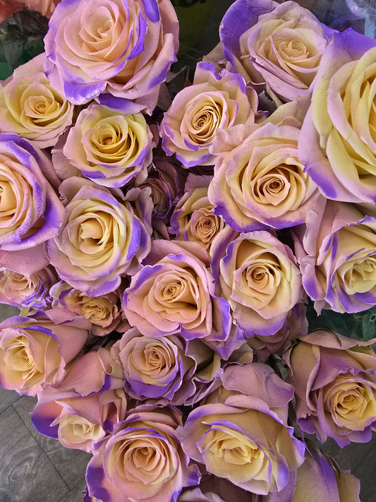 Bouquet of Tinted Spray Roses