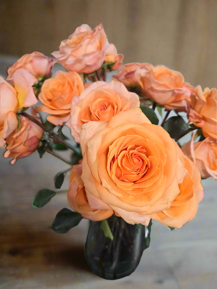 Beautiful coral reef roses