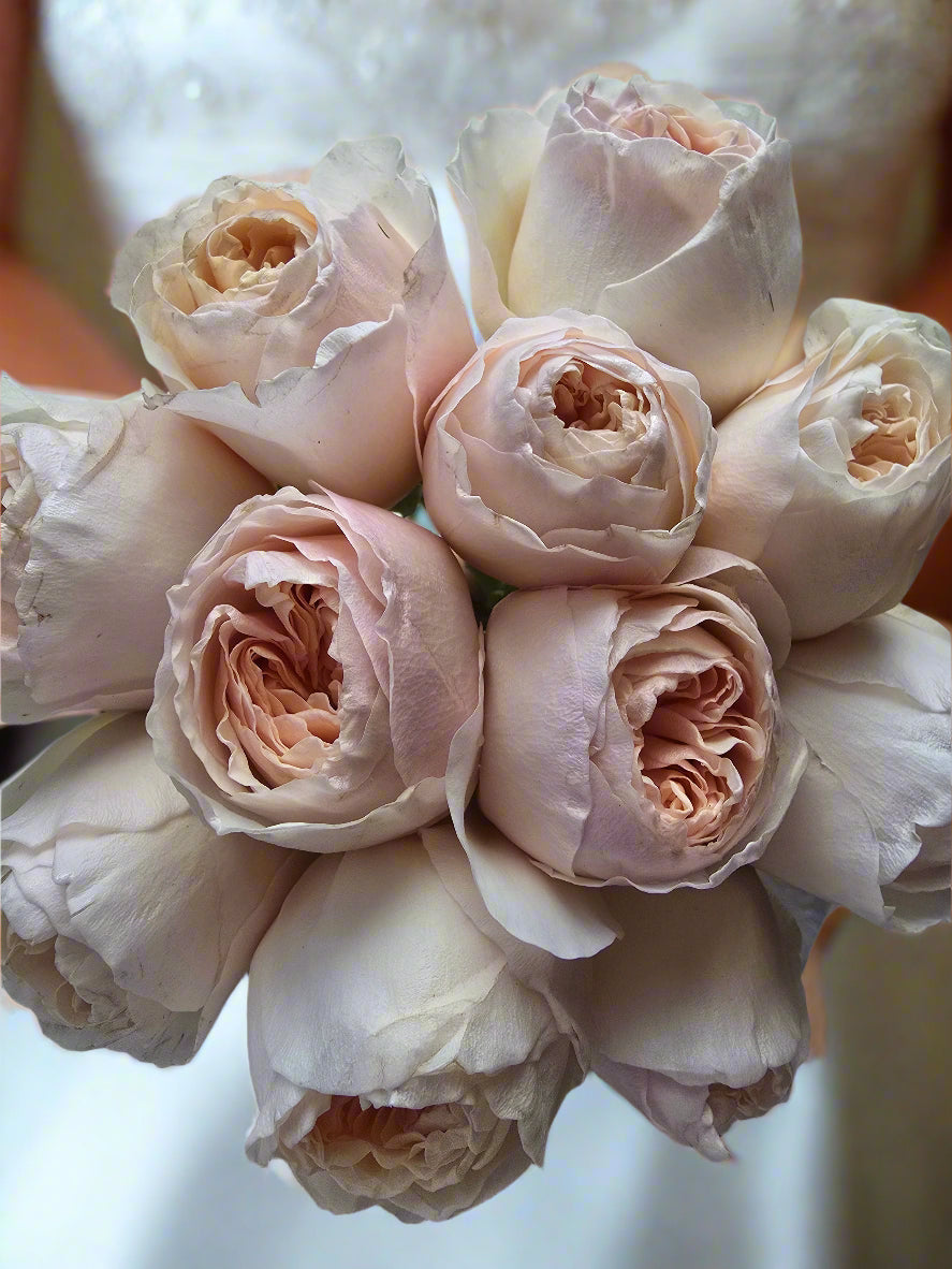 Juliette Roses Bridal Bouquet