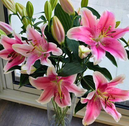 Lilies