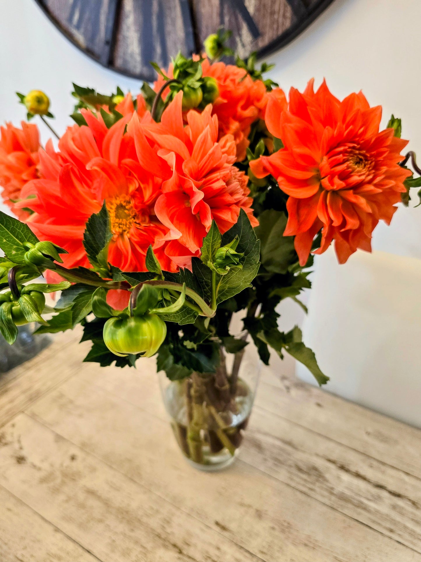 Dahlia arrangement